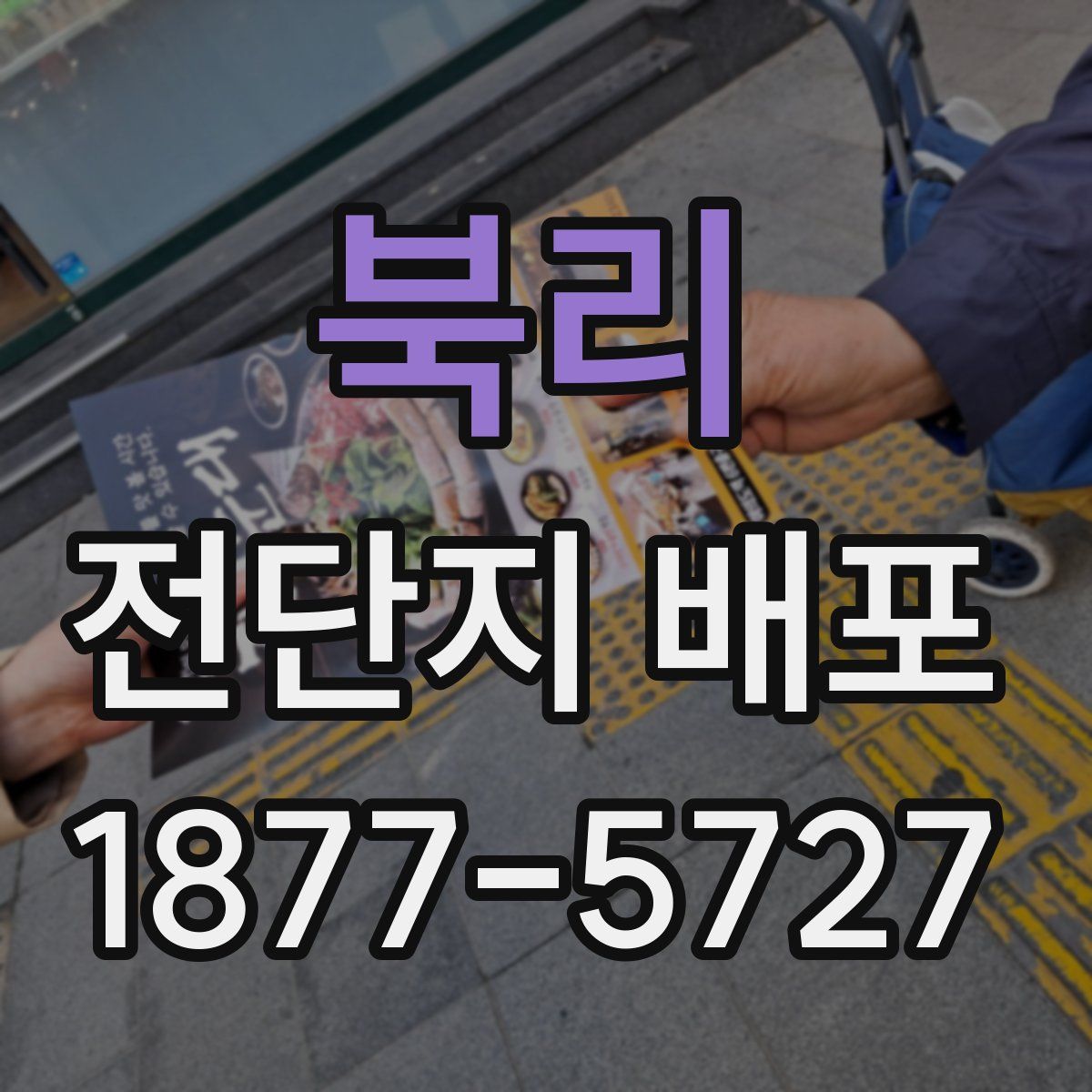 북리 전단지 배포