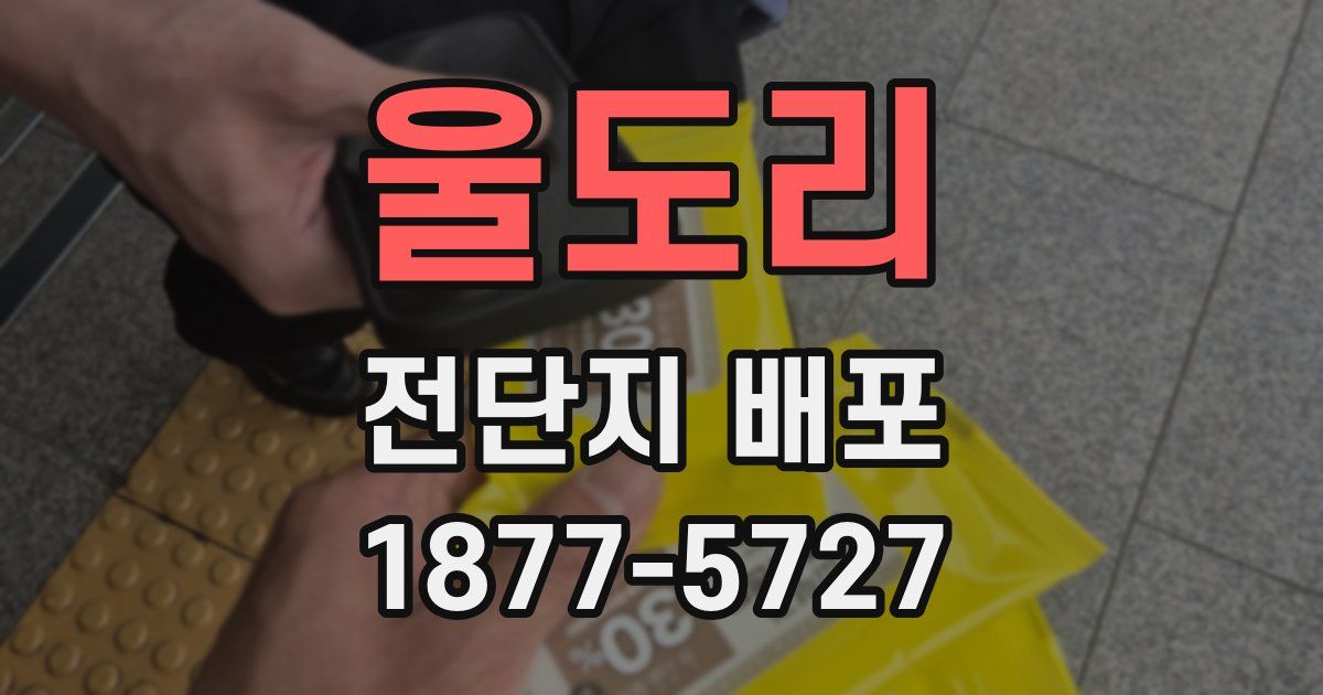 울도리 전단지 배포