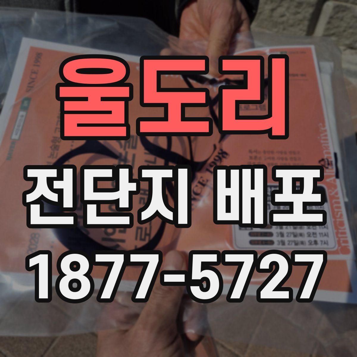 울도리 전단지 배포
