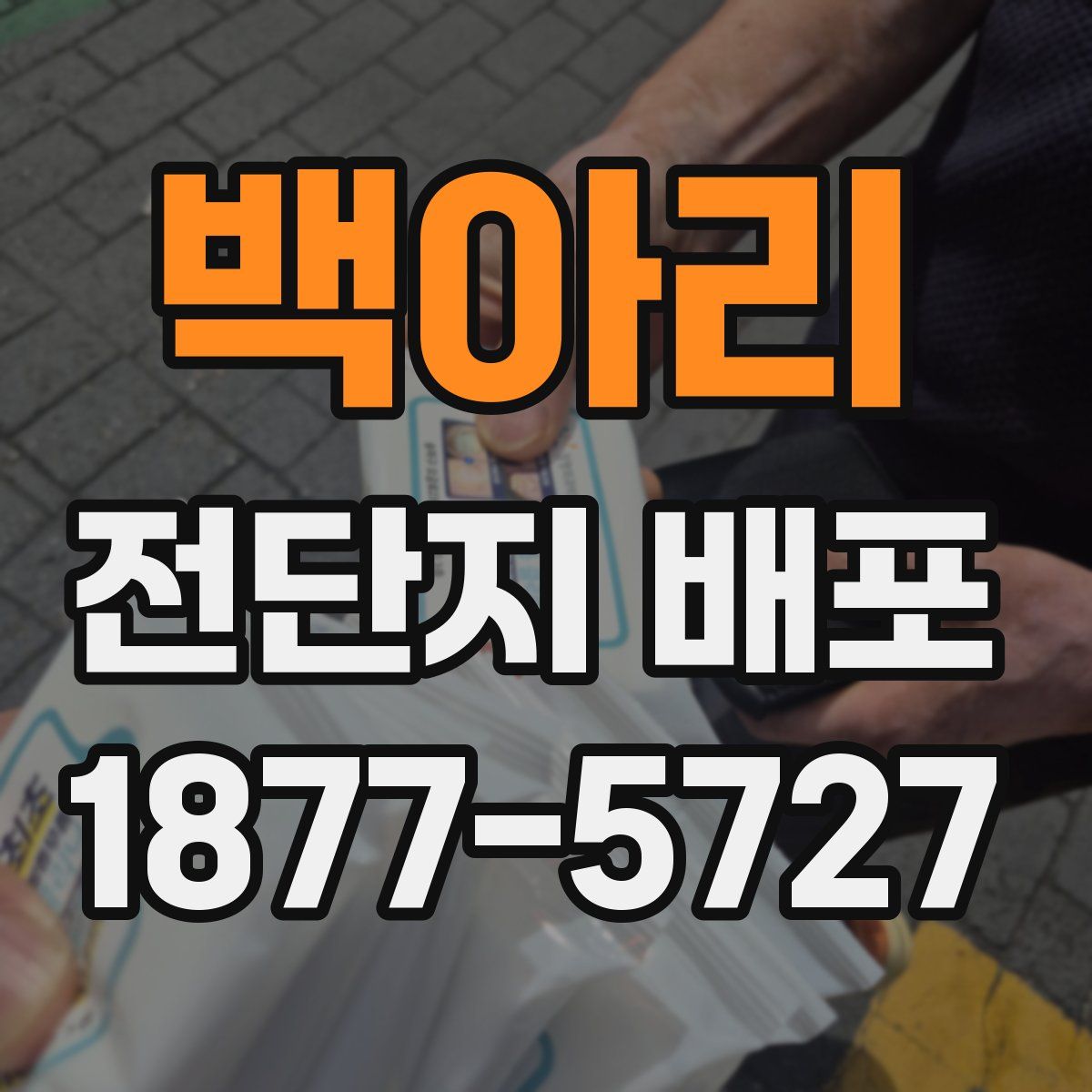 백아리 전단지 배포