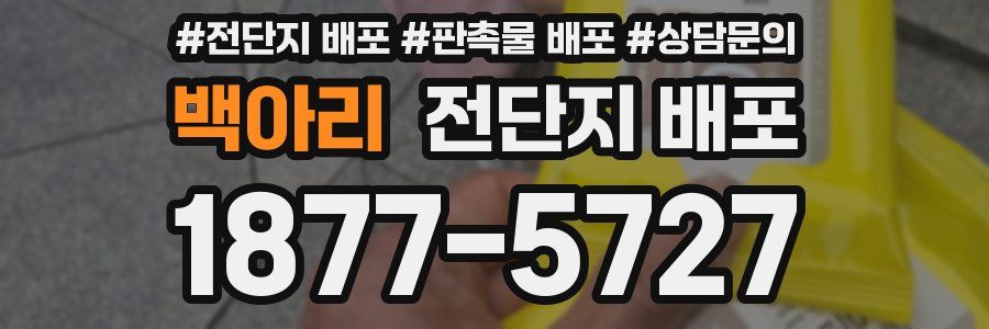 백아리 전단지 배포