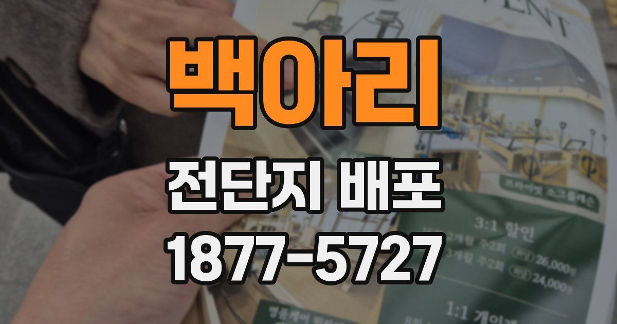 백아리 전단지 배포