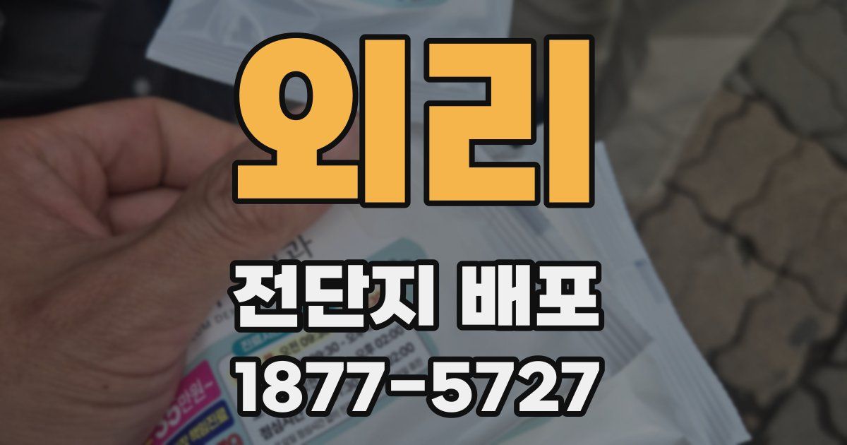 외리 전단지 배포