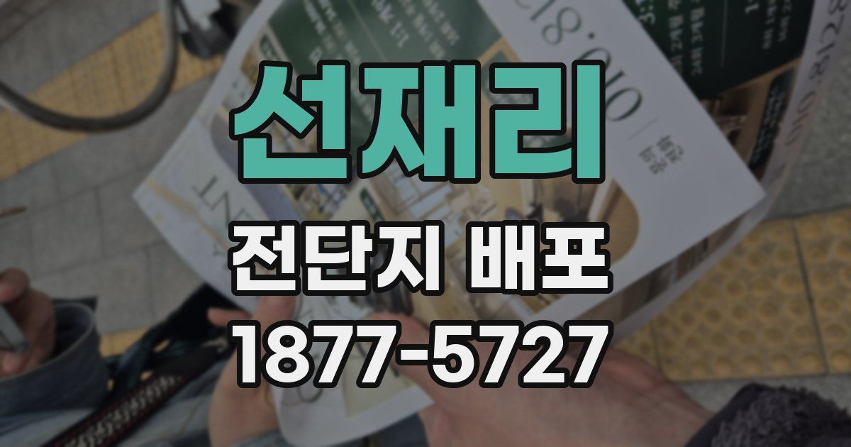 선재리 전단지 배포