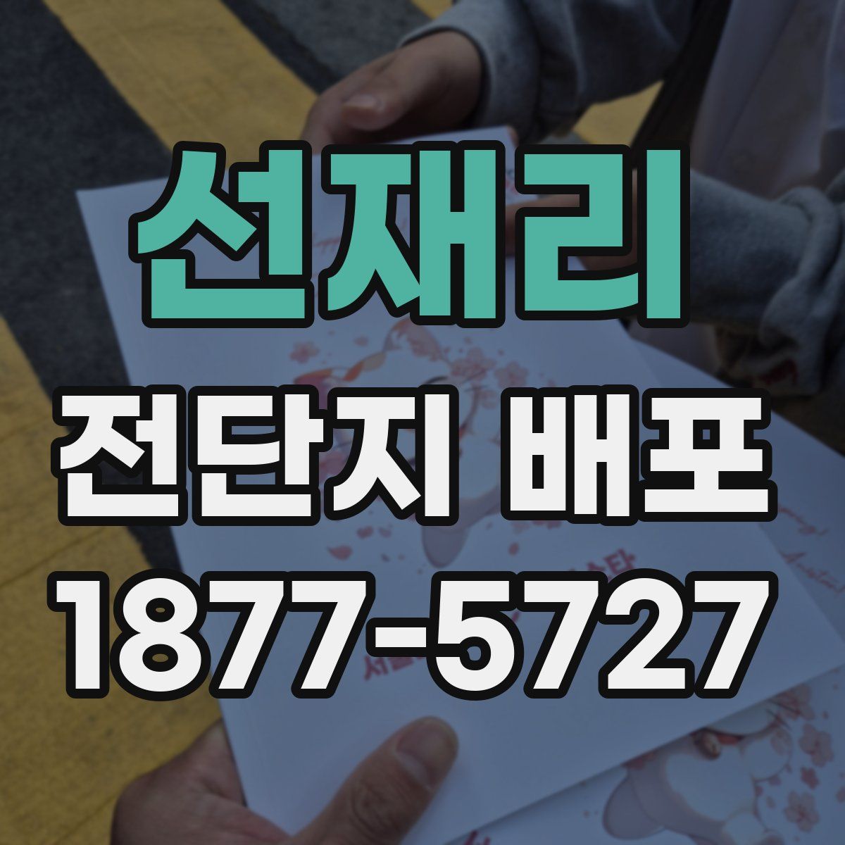선재리 전단지 배포