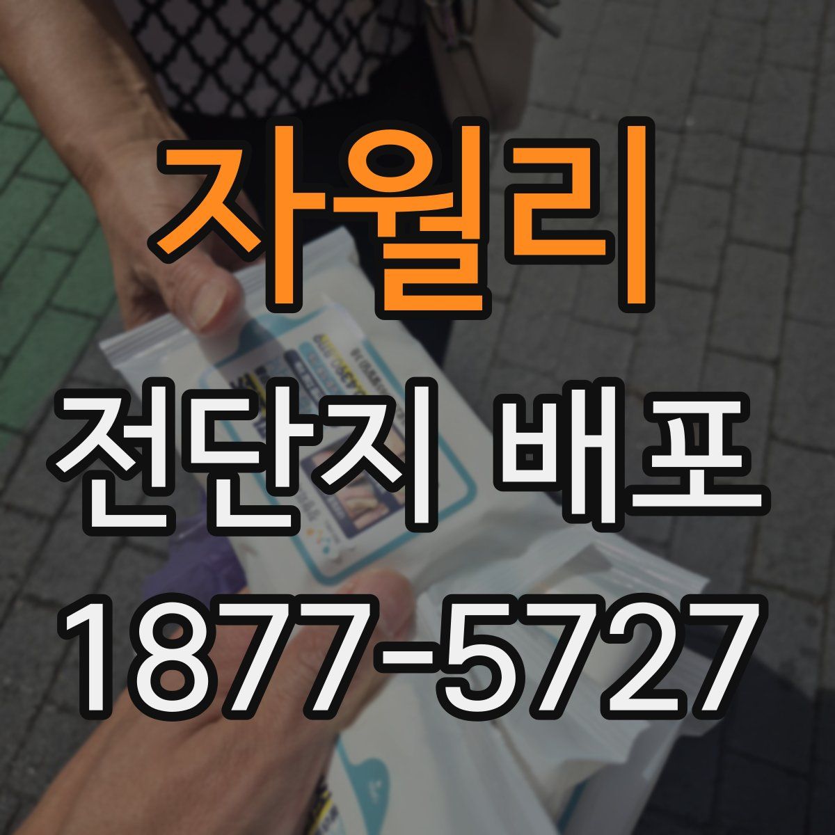 자월리 전단지 배포