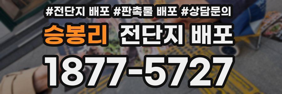 승봉리 전단지 배포