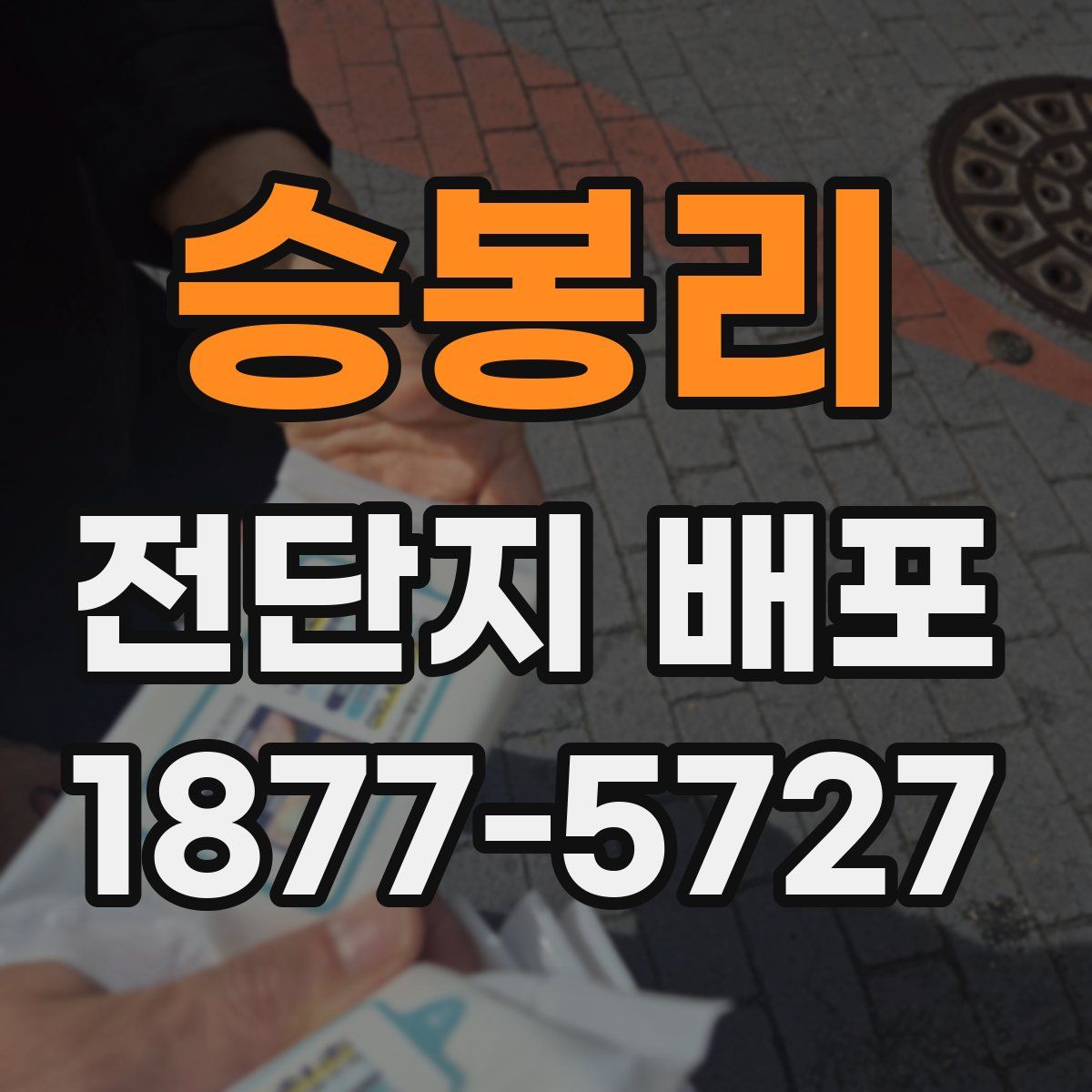 승봉리 전단지 배포