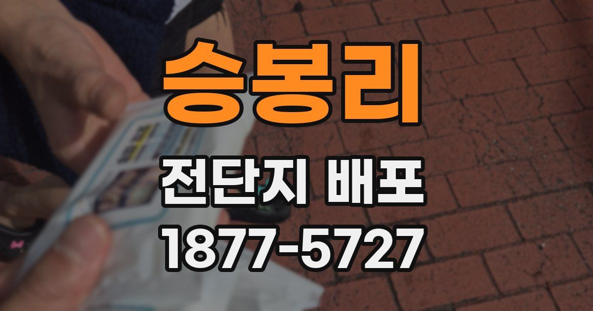 승봉리 전단지 배포