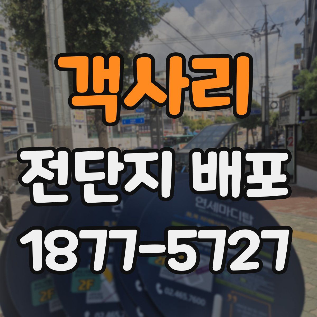 객사리 전단지 배포