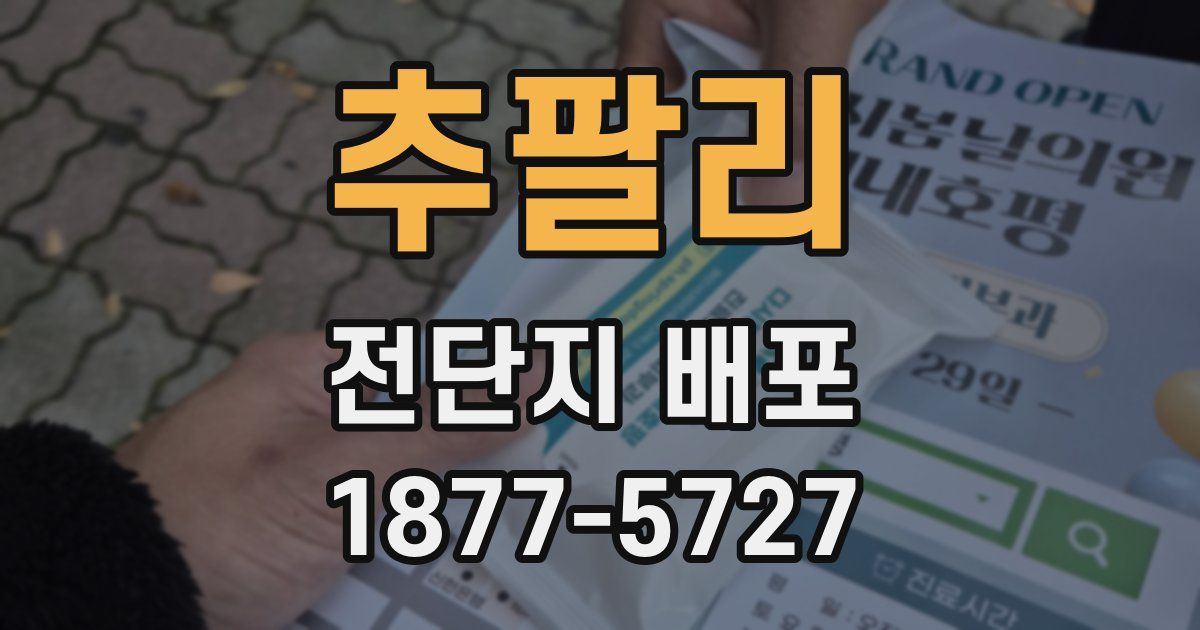 추팔리 전단지 배포