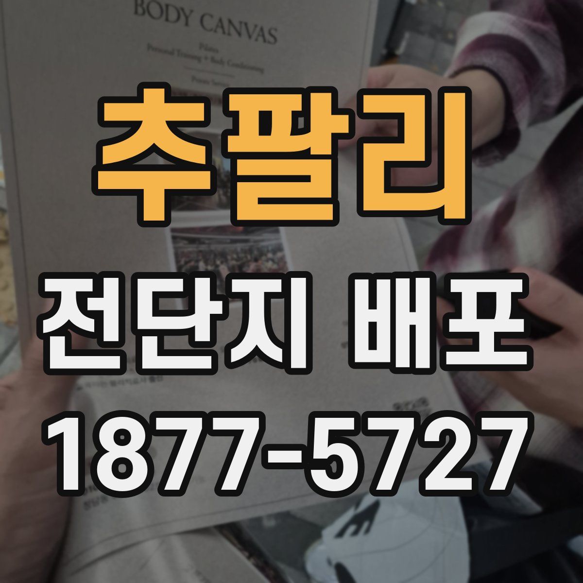 추팔리 전단지 배포