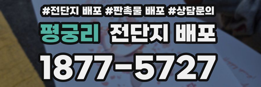 평궁리 전단지 배포