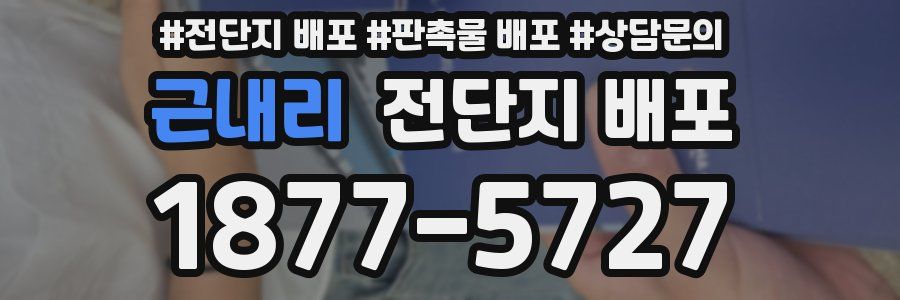 근내리 전단지 배포