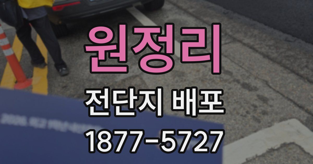 원정리 전단지 배포