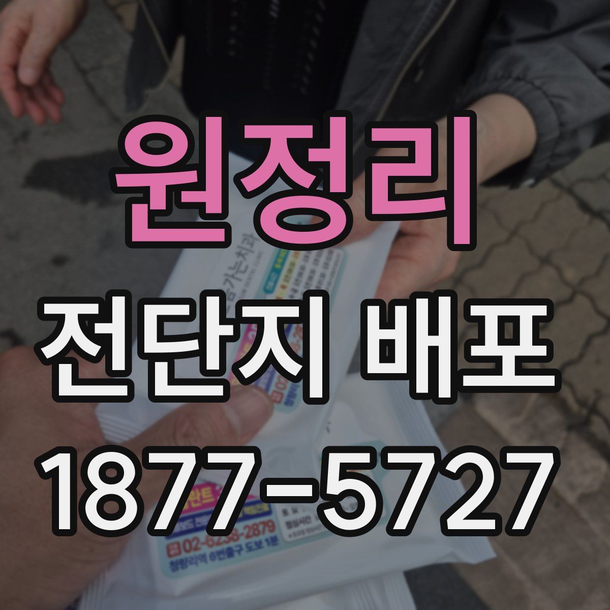 원정리 전단지 배포