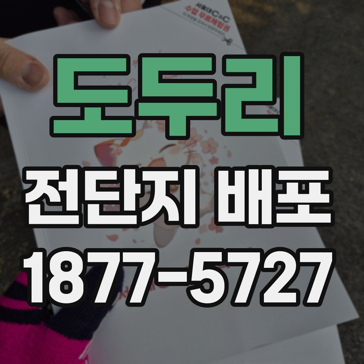 도두리 전단지 배포