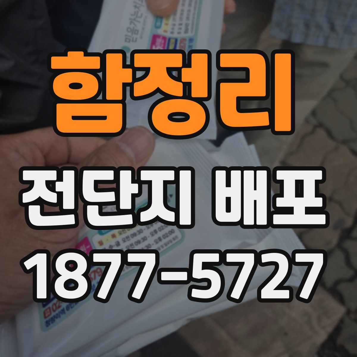 함정리 전단지 배포