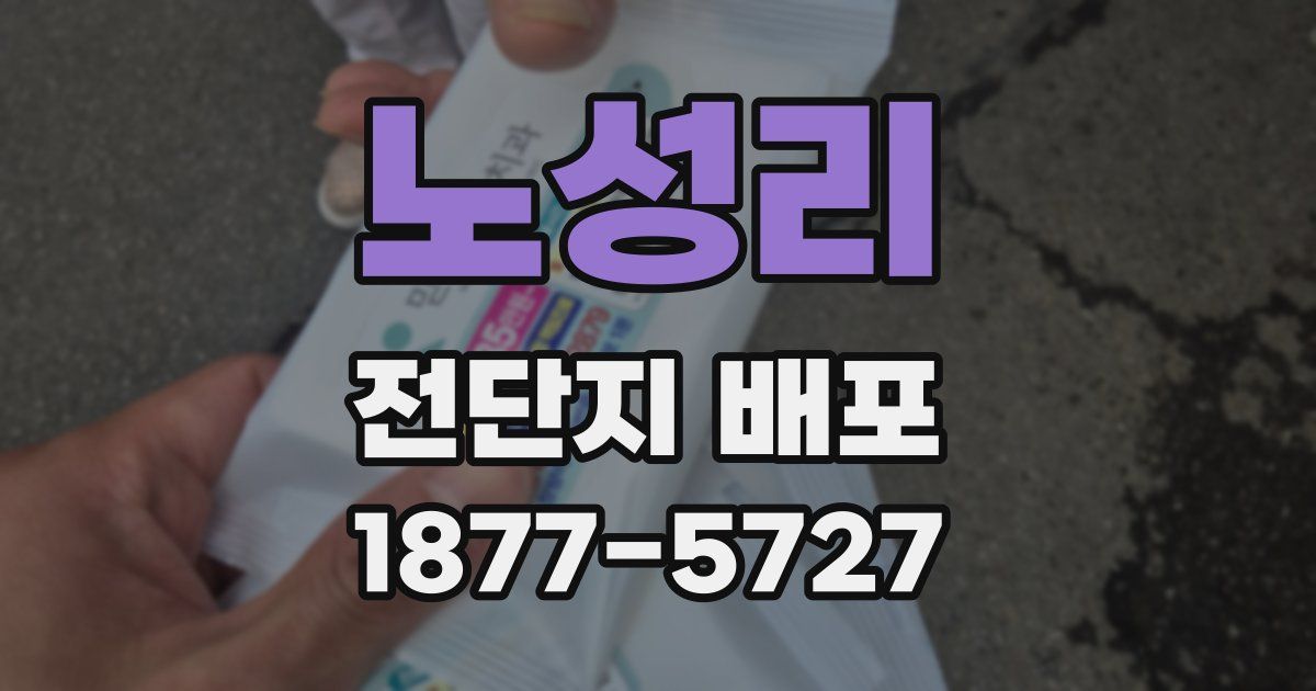 노성리 전단지 배포