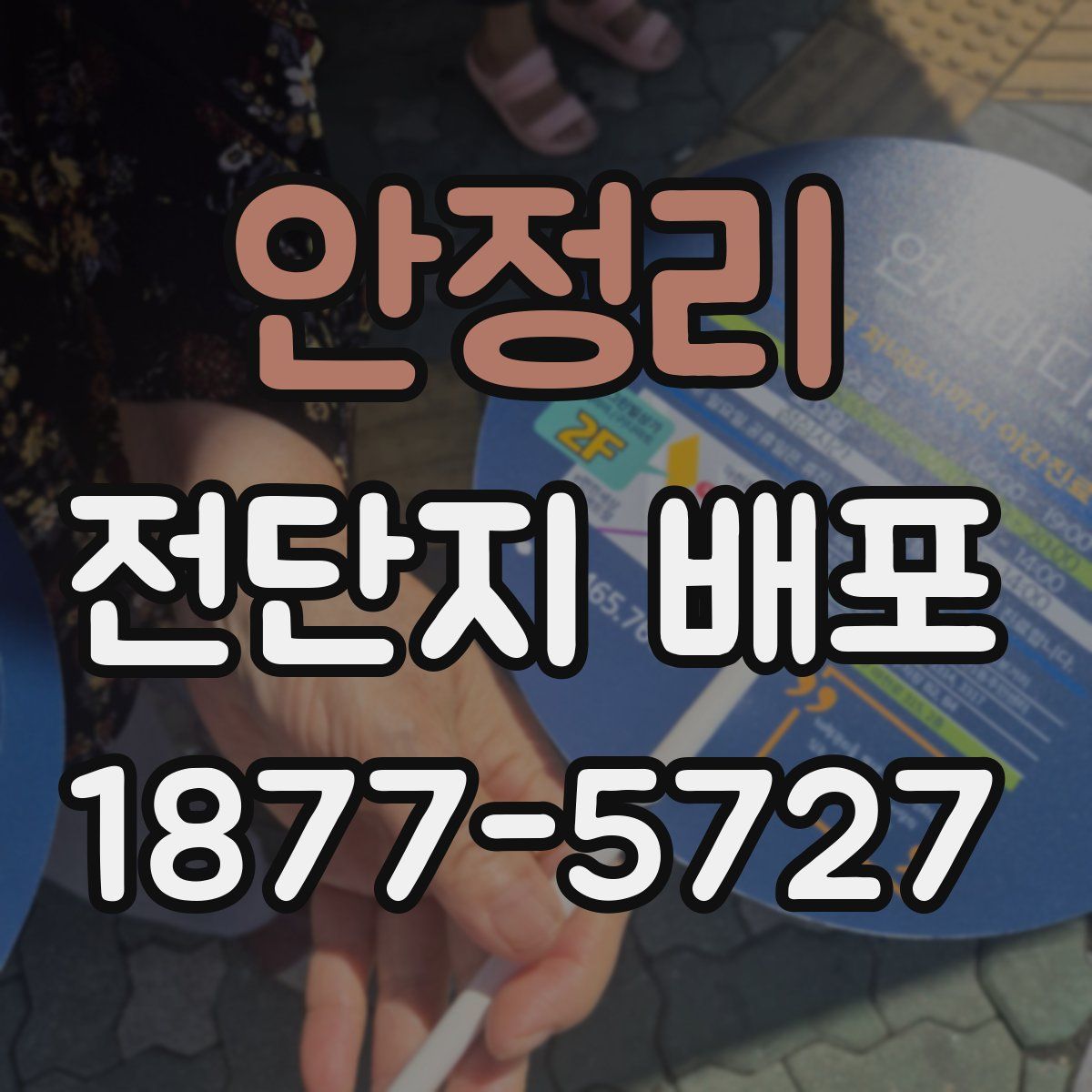 안정리 전단지 배포