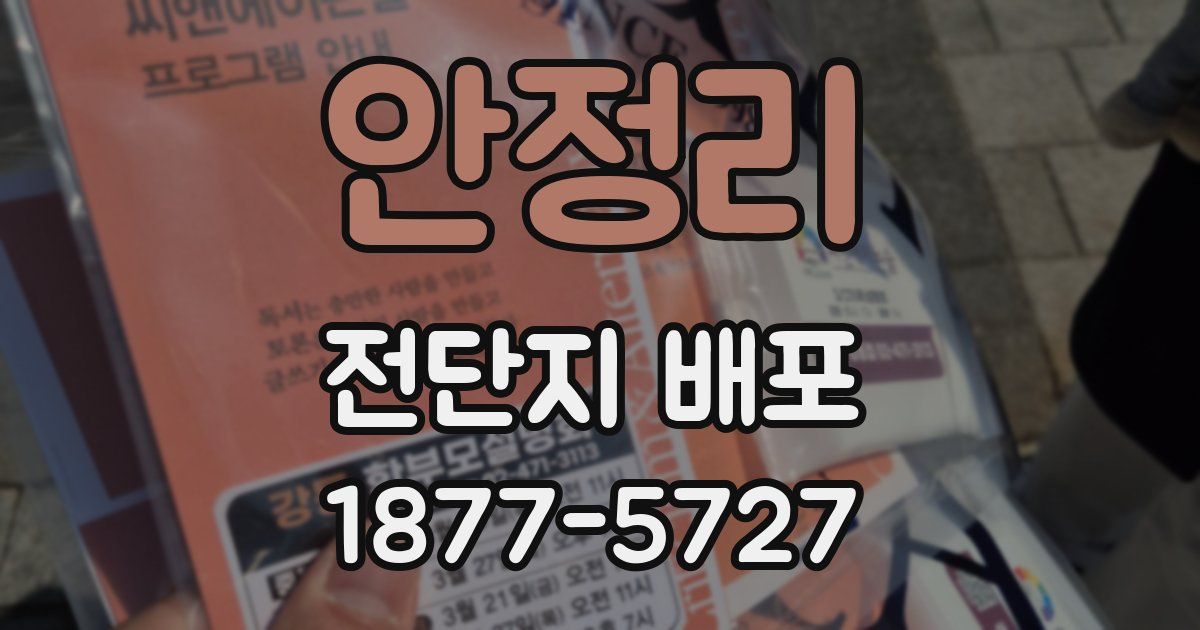 안정리 전단지 배포