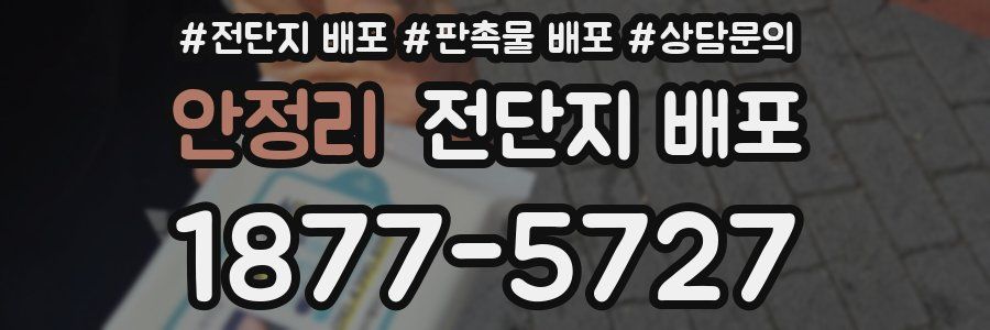 안정리 전단지 배포