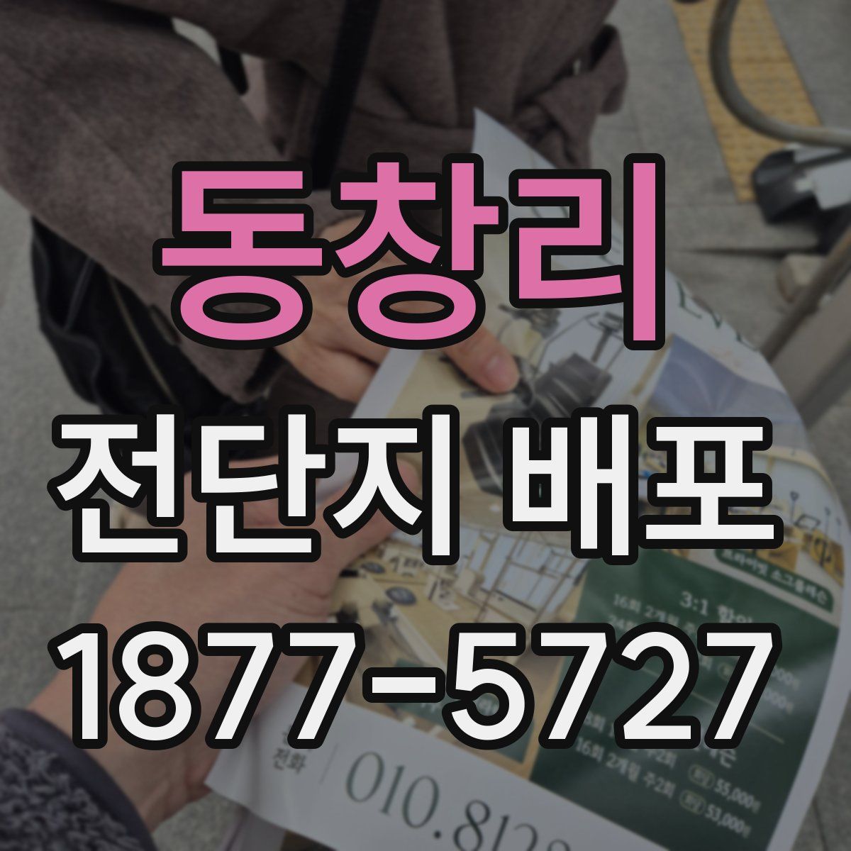 동창리 전단지 배포