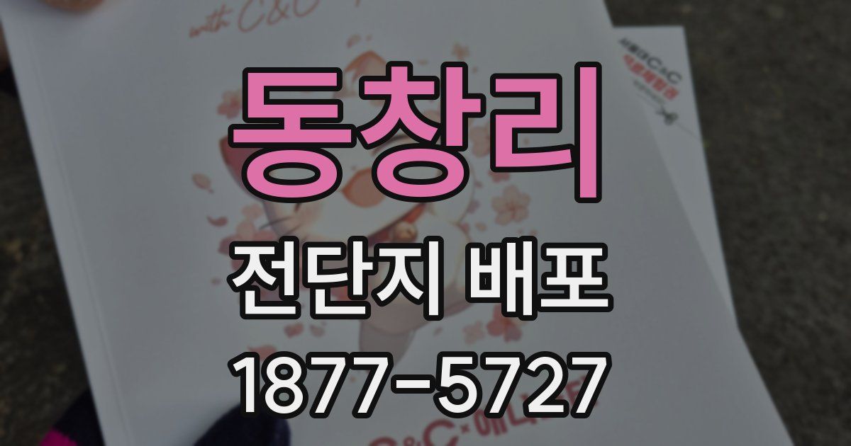 동창리 전단지 배포