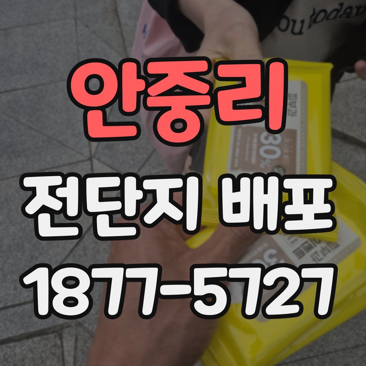 안중리 전단지 배포