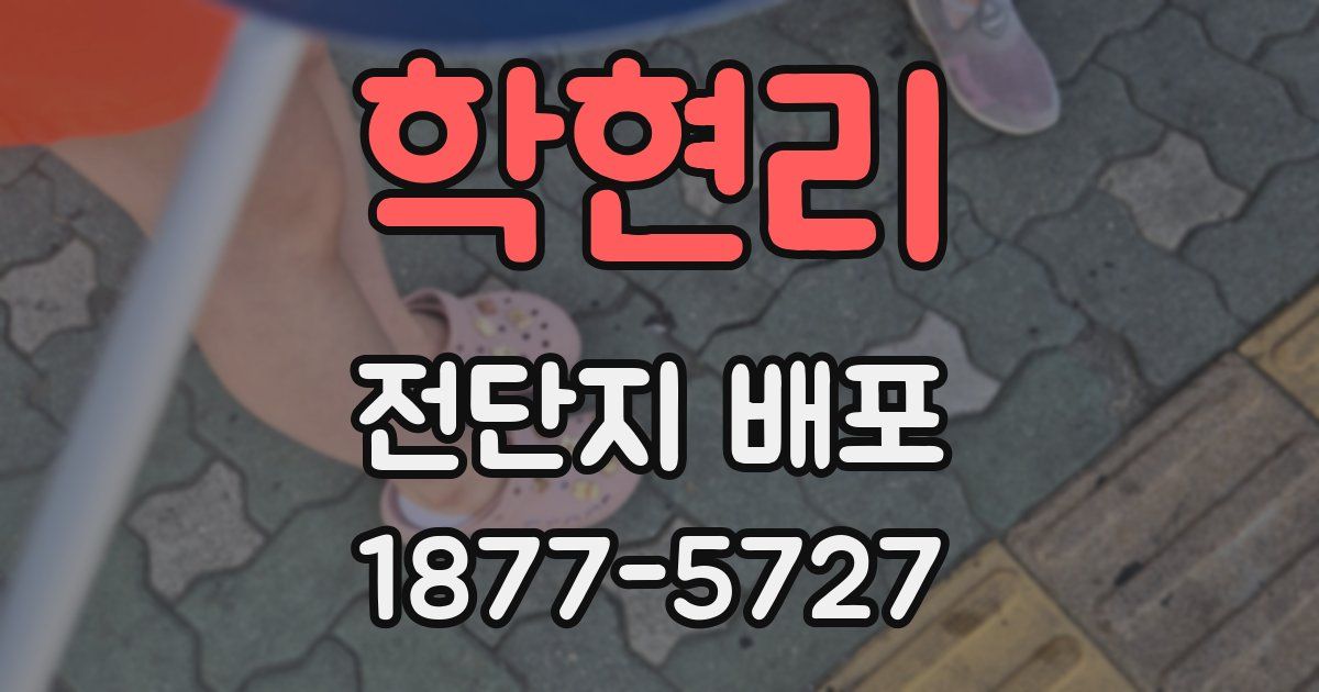 학현리 전단지 배포