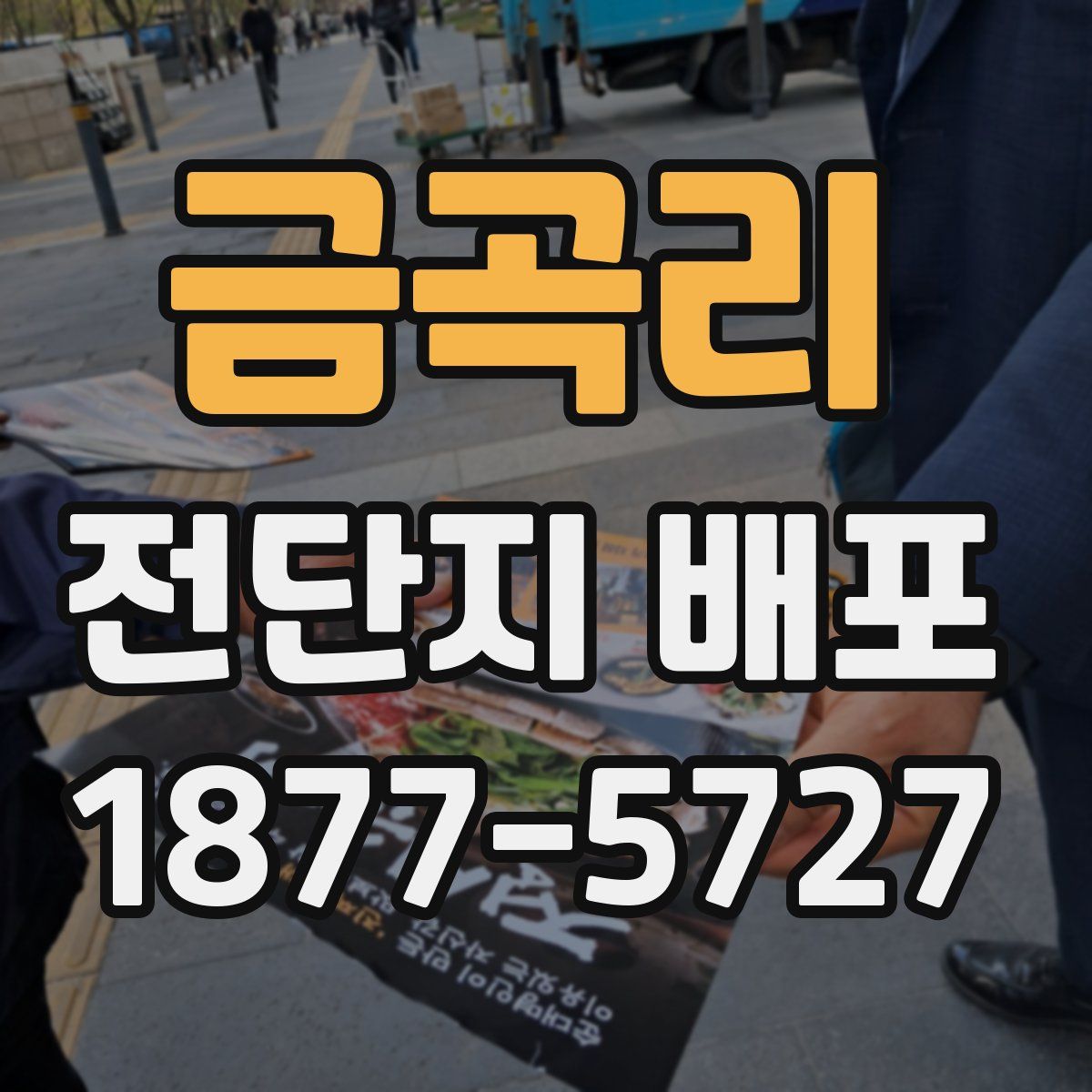 금곡리 전단지 배포