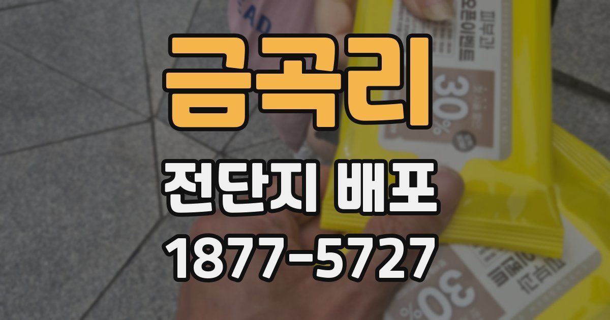 금곡리 전단지 배포