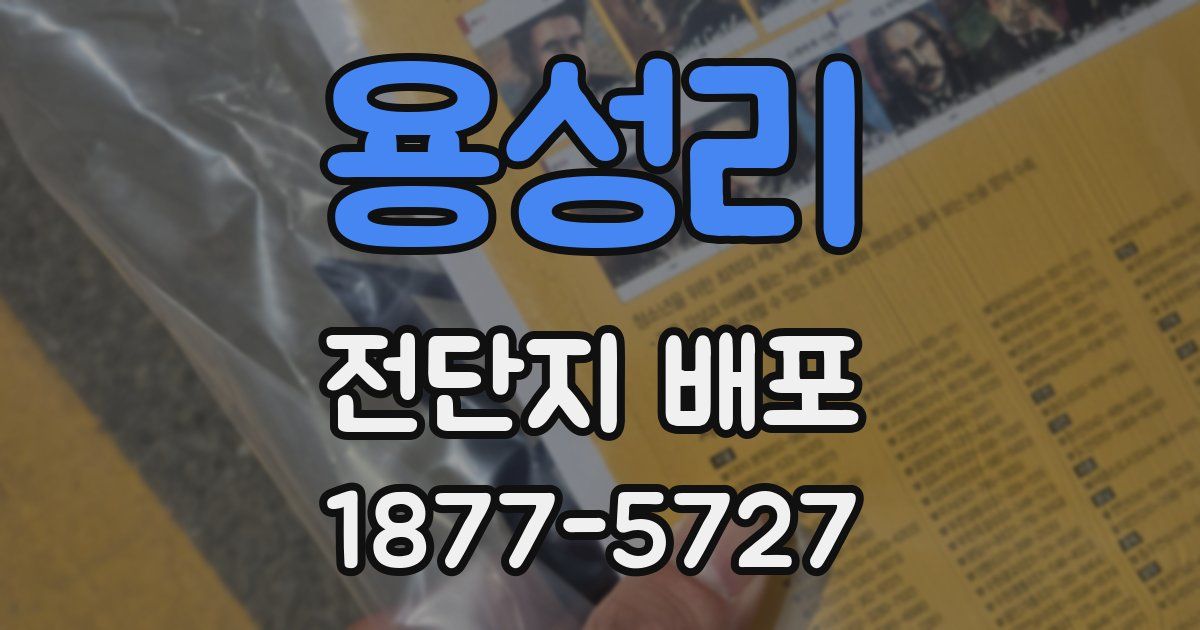 용성리 전단지 배포
