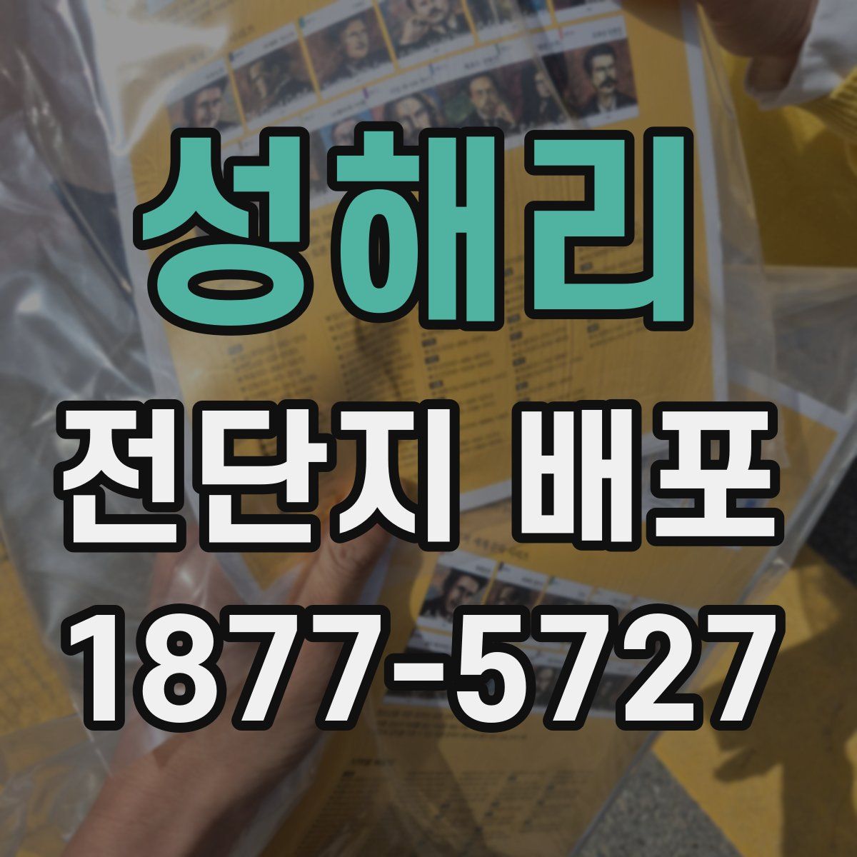 성해리 전단지 배포