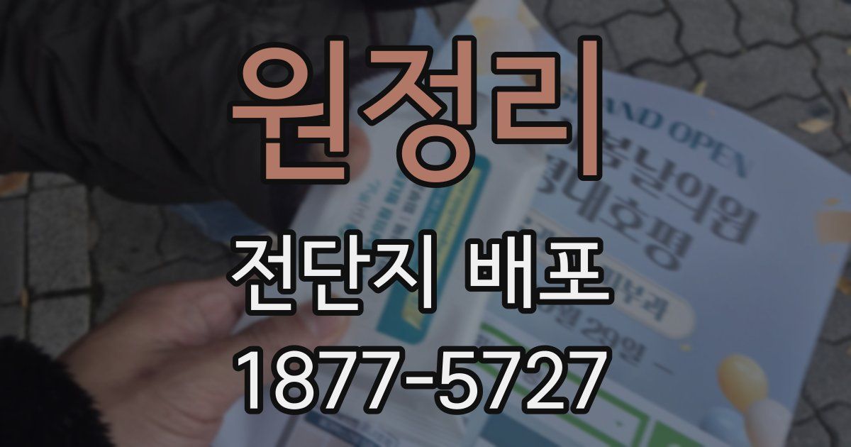 원정리 전단지 배포