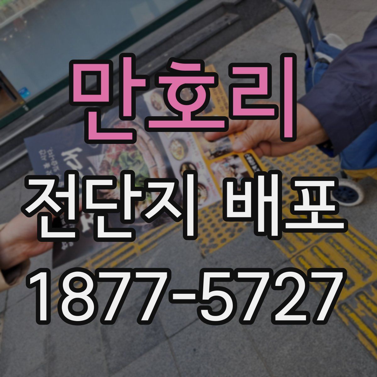 만호리 전단지 배포