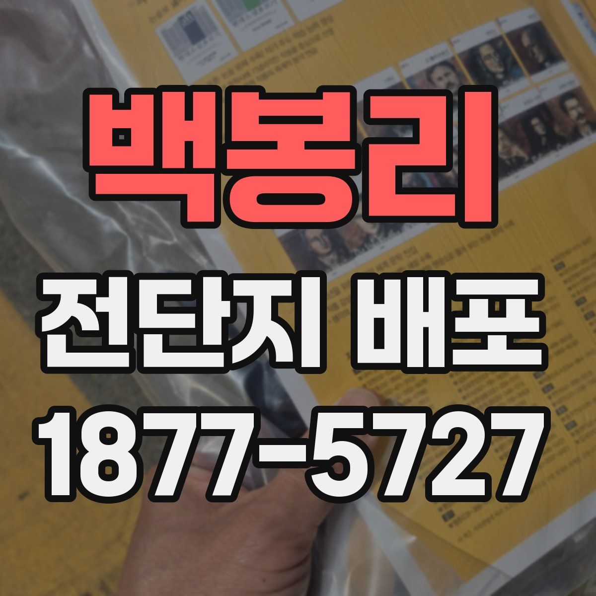 백봉리 전단지 배포