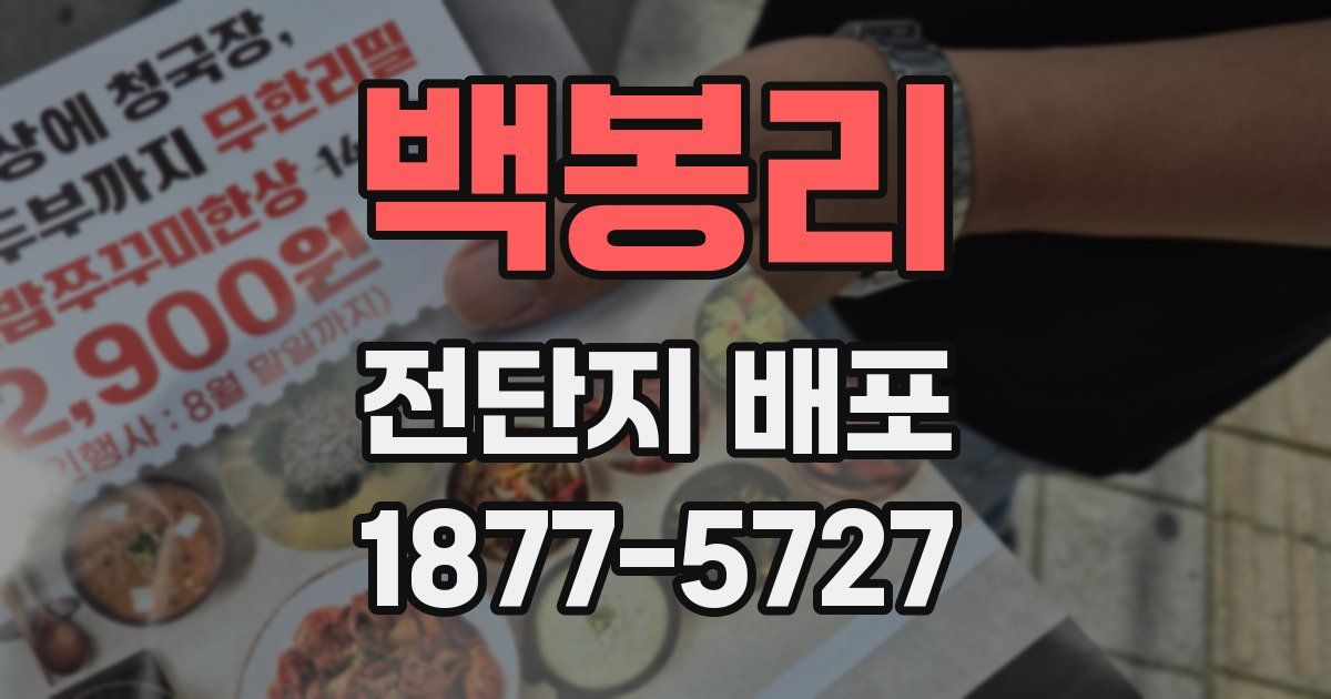 백봉리 전단지 배포
