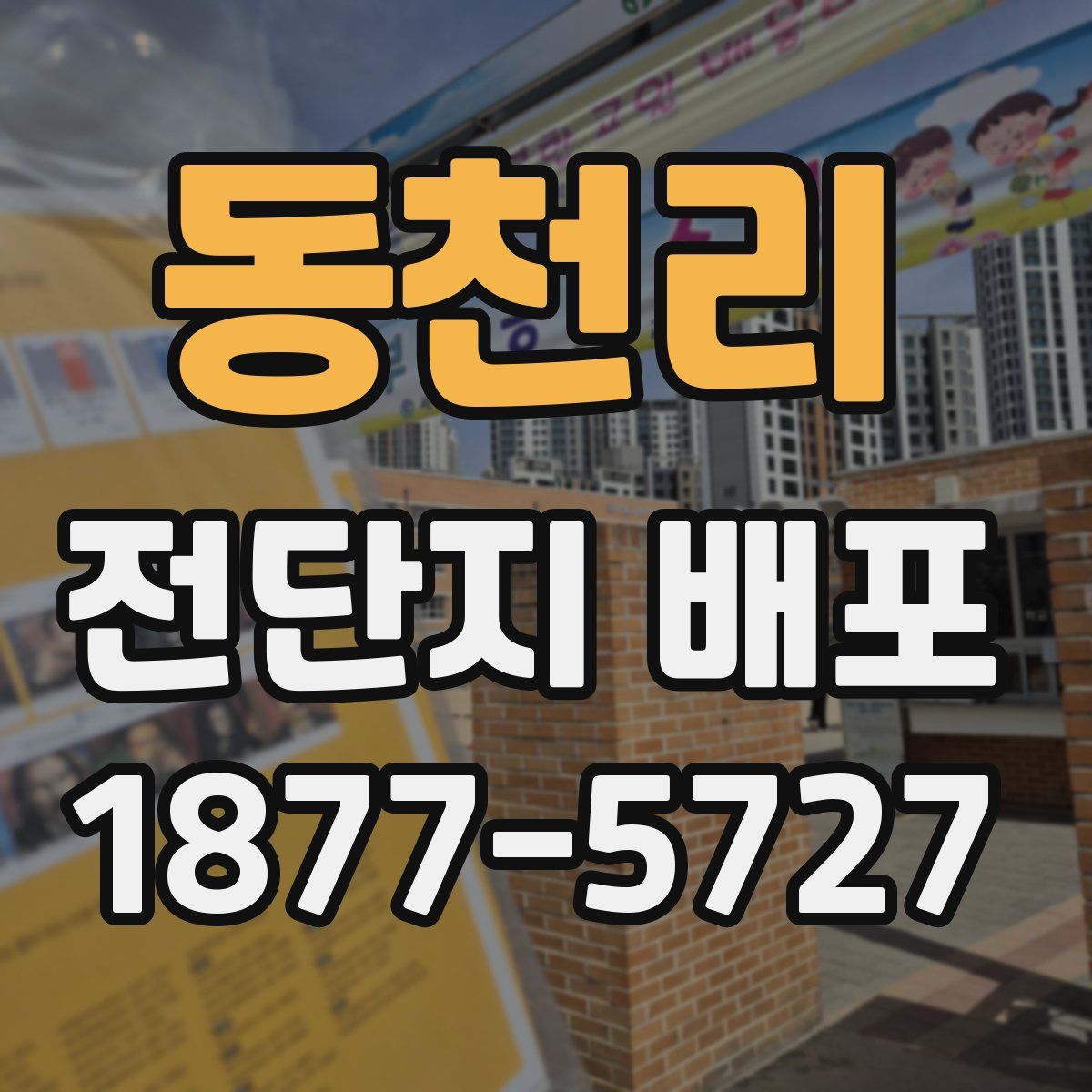 동천리 전단지 배포