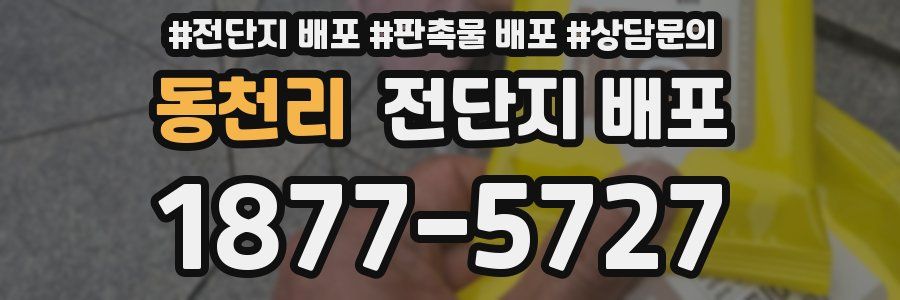 동천리 전단지 배포
