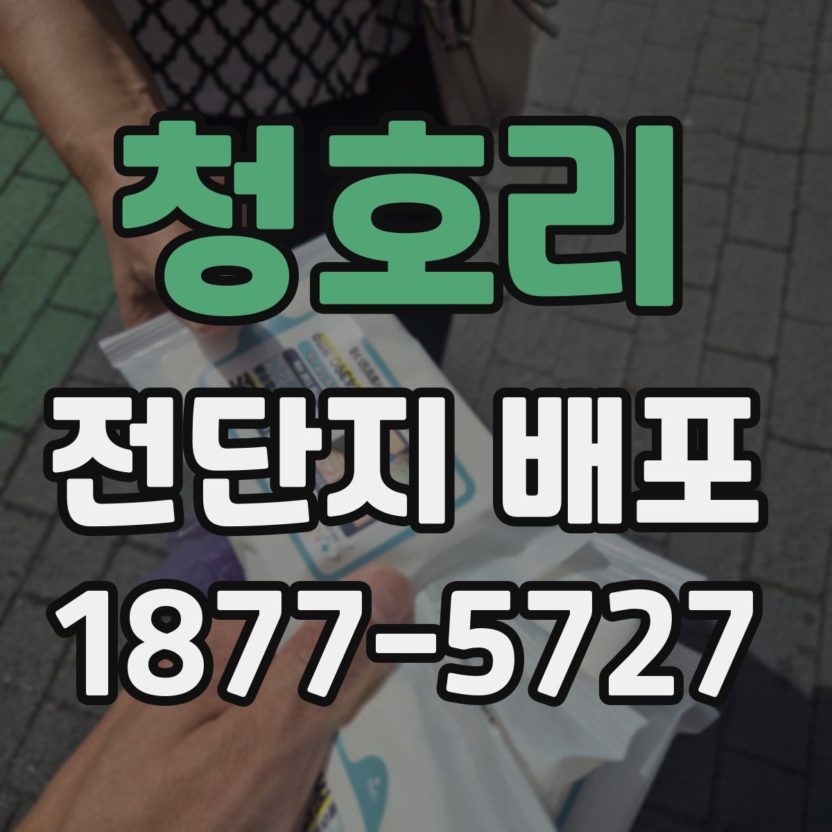 청호리 전단지 배포