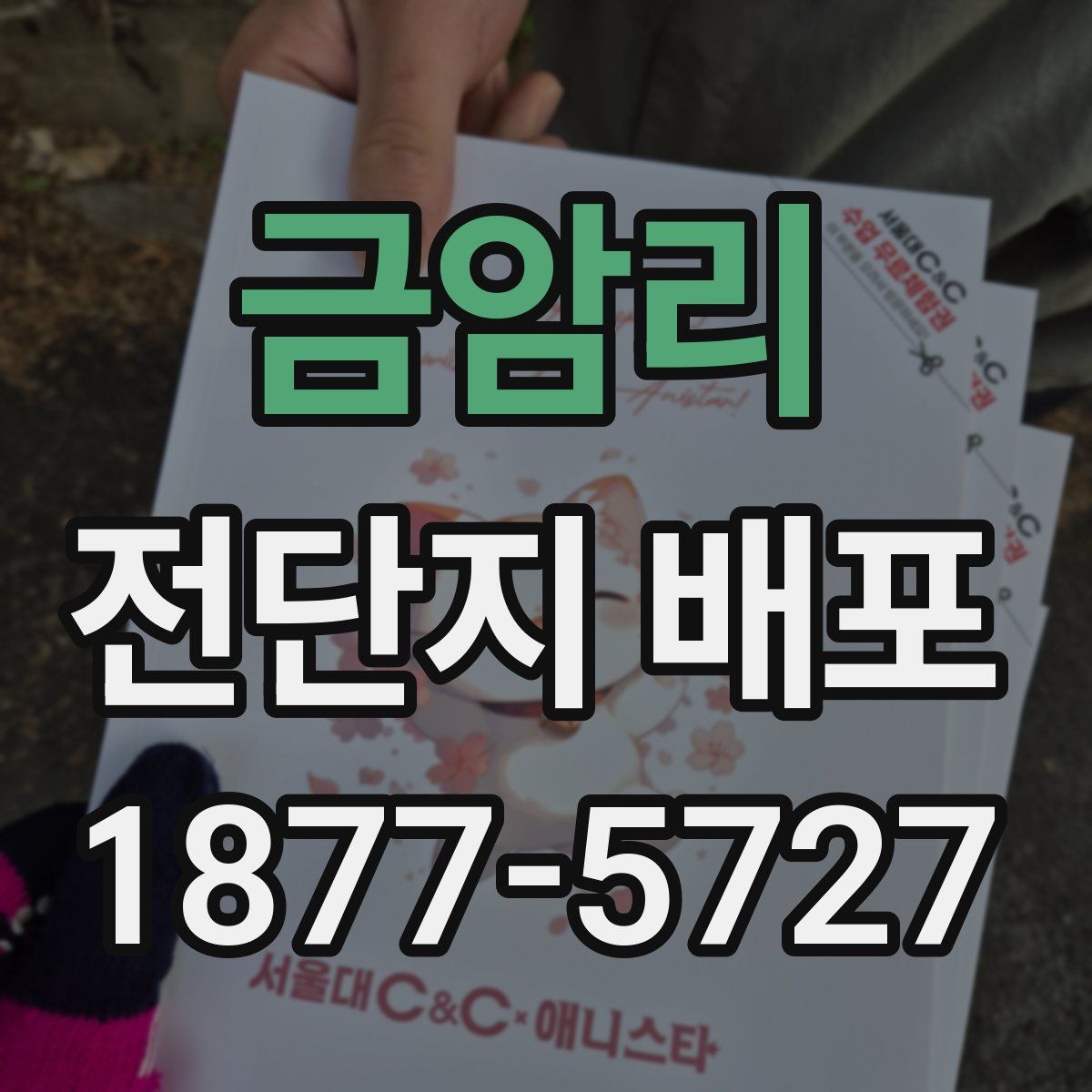 금암리 전단지 배포