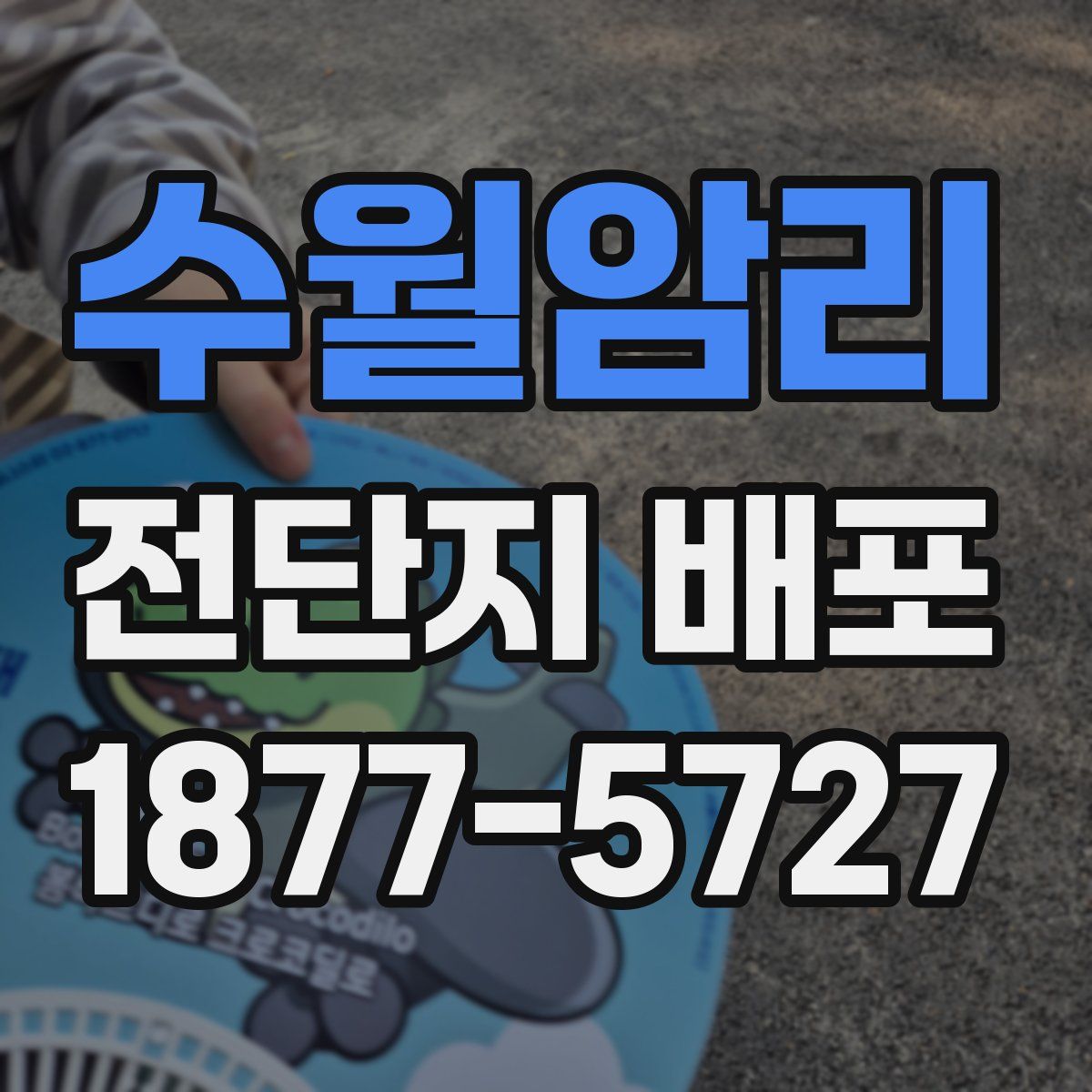 수월암리 전단지 배포