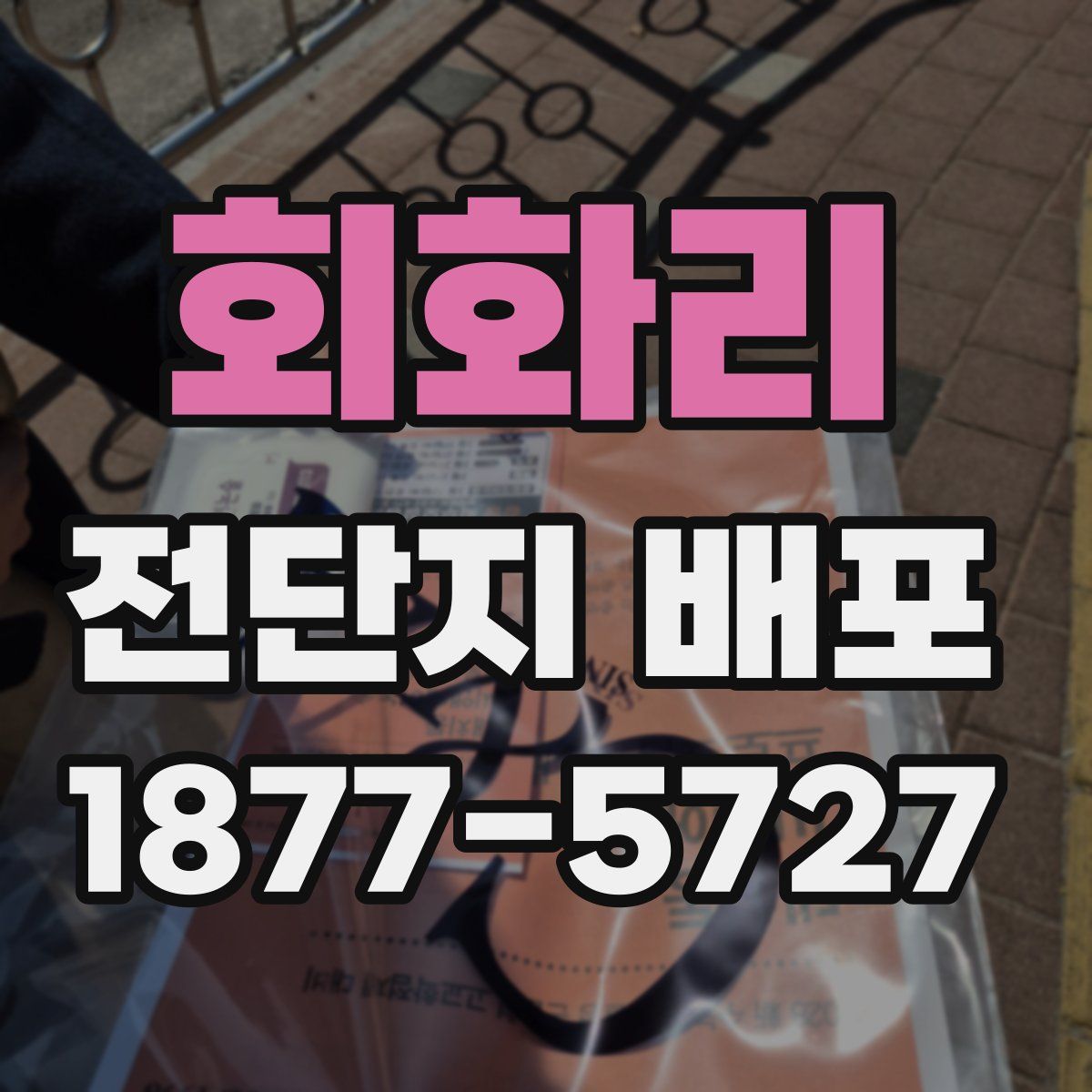 회화리 전단지 배포
