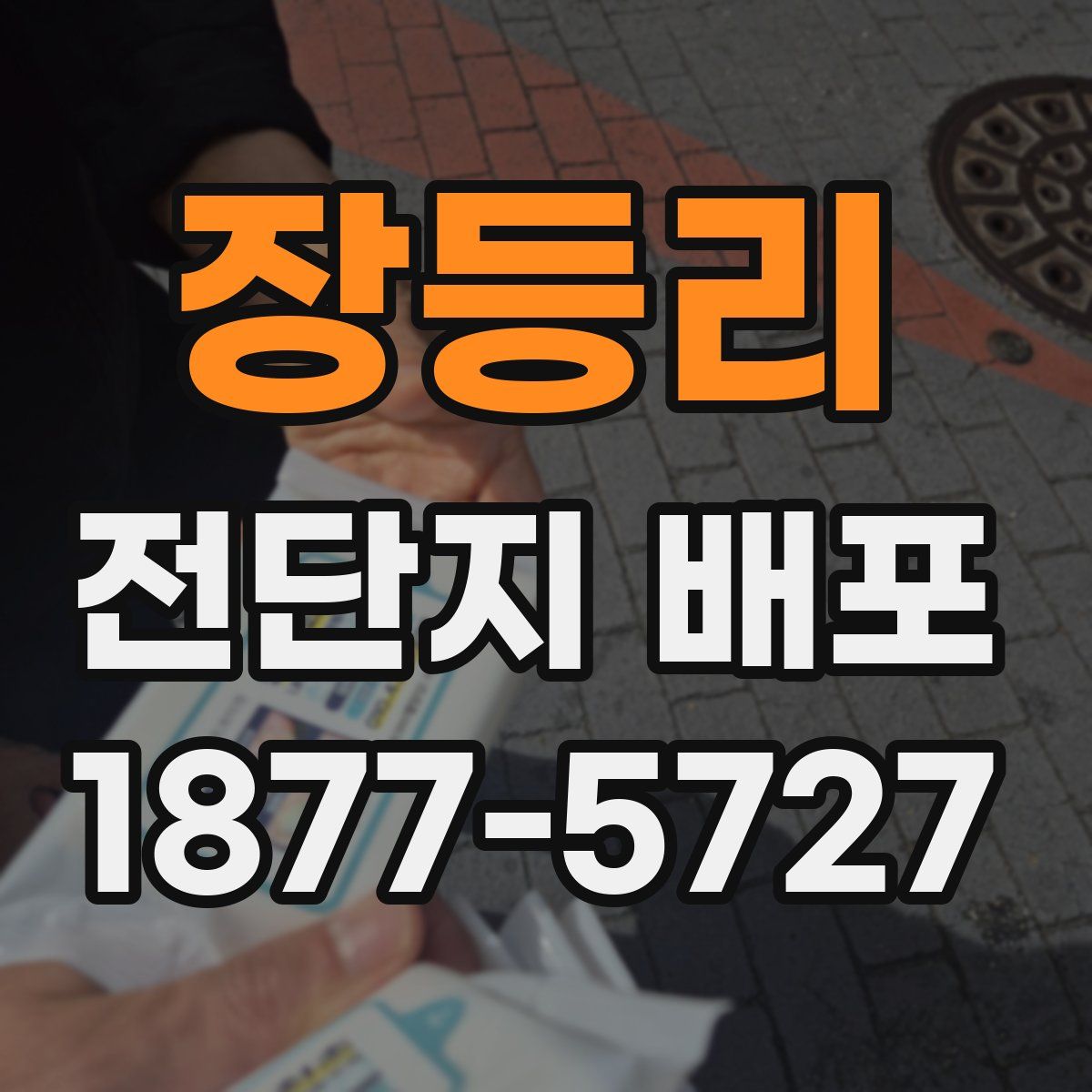 장등리 전단지 배포