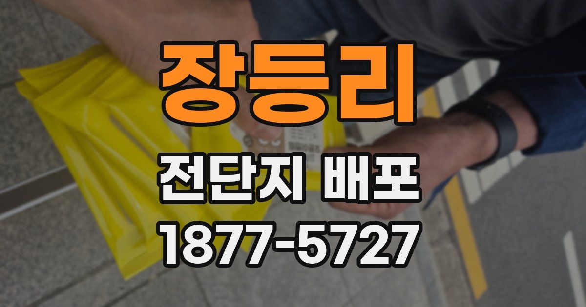 장등리 전단지 배포