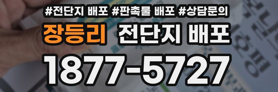 장등리 전단지 배포