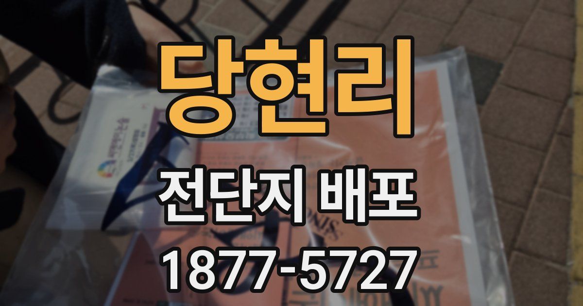 당현리 전단지 배포