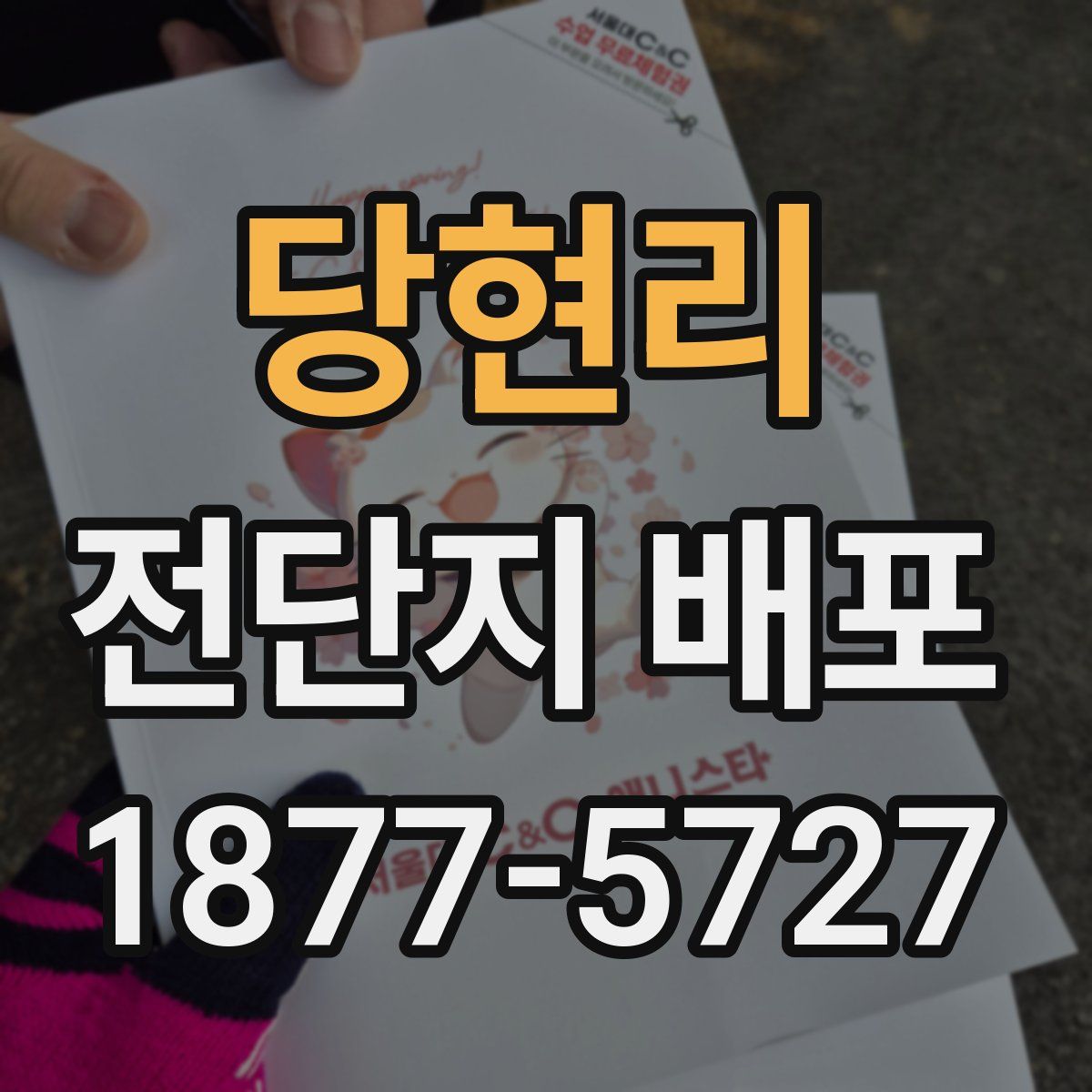 당현리 전단지 배포