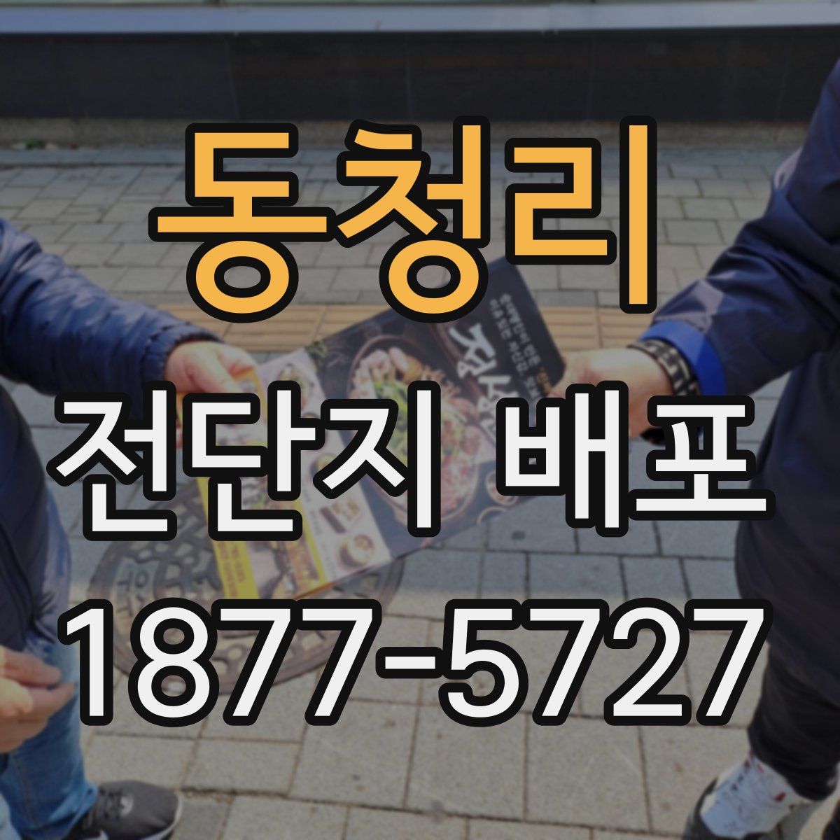 동청리 전단지 배포